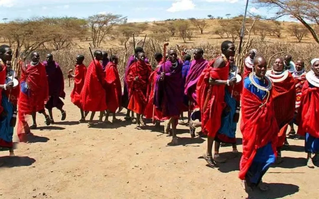 Maasai Boma Tour in Mto wa Mbu