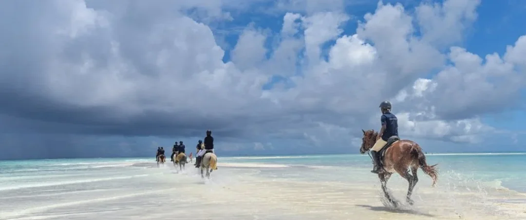 Horseback riding