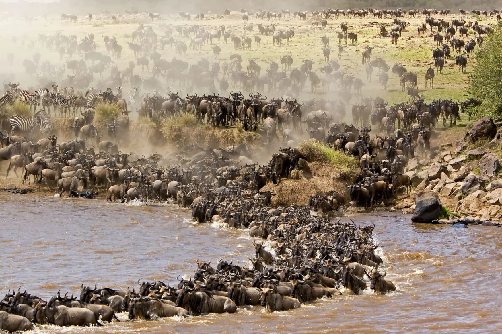 2025_03_Great-Annual-Wildebeest-Migration-2048x1365-1