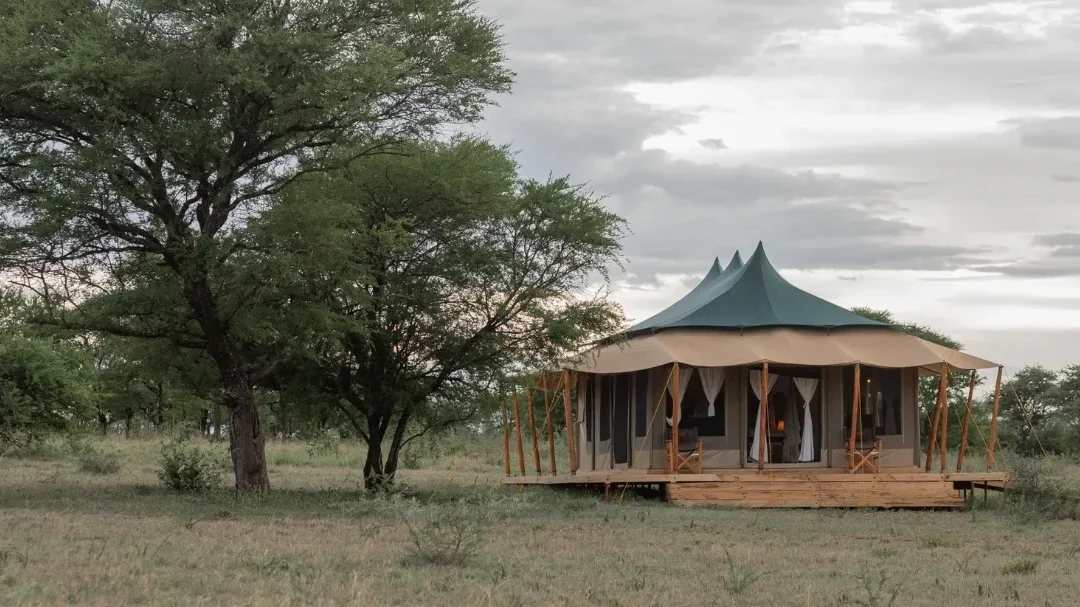 Signature Serengeti Luxury Tented Camp