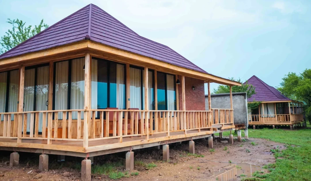 Into Wild Africa Luxury Safari Lodge